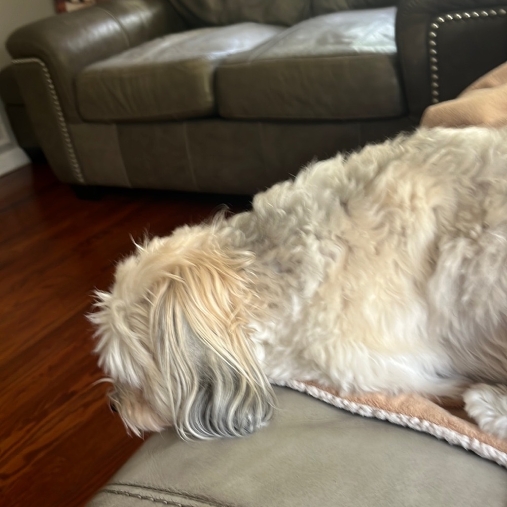 Meet your Posher, Kristine